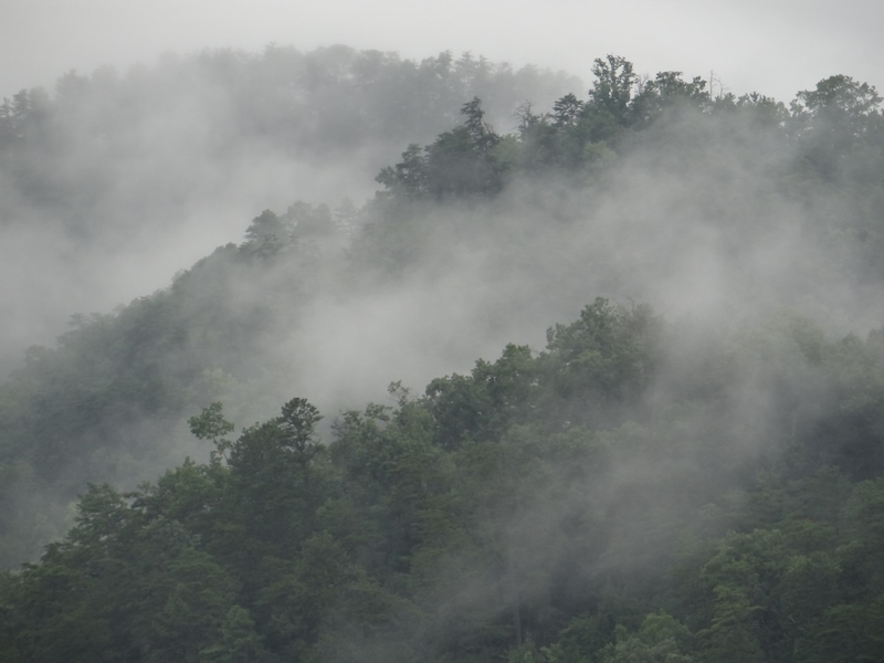 Illustration for article titled Smoky Mountain Trip!